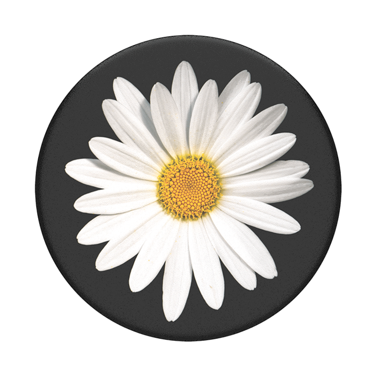 Picture of POPSOCKET PG-White Daisy BK	