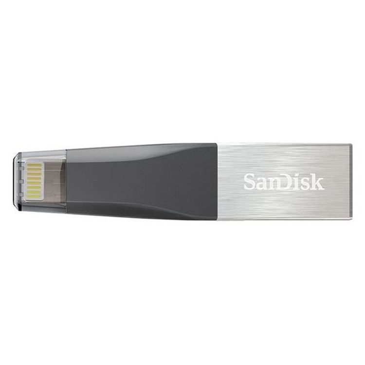 صورة IXPAND MINI FLASH DRIVE 256GB